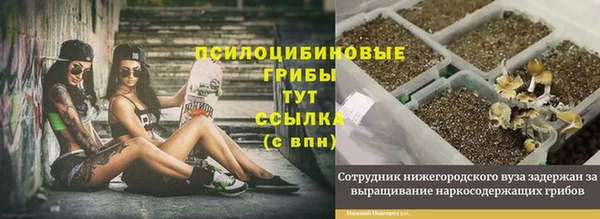 MDMA Горнозаводск