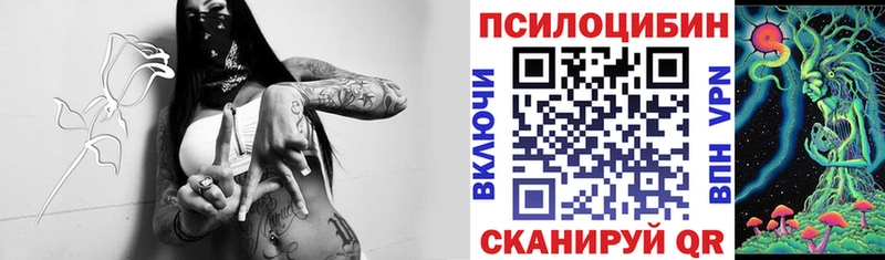 Псилоцибиновые грибы мухоморы  даркнет сайт  Одинцово 